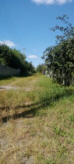 IMG_20240706_095747.jpg