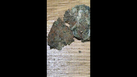 IMG_2530 (6).gif