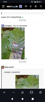 Screenshot_20240721-134425.png