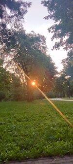 IMG_20240802_061134.jpg