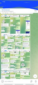 Screenshot_20240802_120121_Telegram.jpg