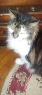 IMG_20240805_185604.jpg
