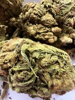 IMG_1377.jpeg