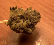 IMG_7024.gif