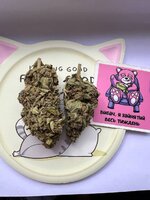 IMG_1395.jpeg