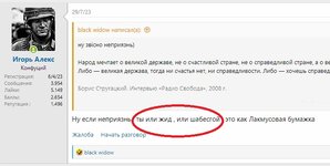 2023-10-09 02_38_53-холокост которого небыло _ Страница 4 _ Ł₳ßℝℂ - Sekta Lab (открывается при...jpg