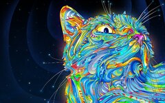 lsd-cat.jpg