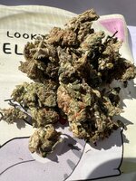 IMG_1447.jpeg