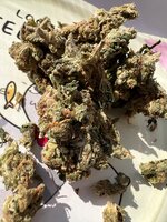 IMG_1448.jpeg
