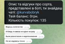 Знімок екрана 2024-08-21 о 11.05.56.png