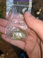 IMG_20200917_204825_109.jpg