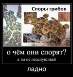 Без имени.png