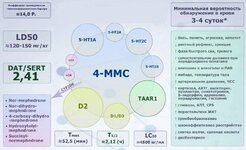 Инфографика известных констант мефа.jpeg