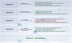 Краткое заключение в виде инфографики.jpeg