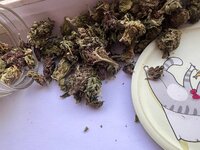 IMG_1688.jpeg
