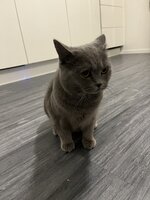 IMG_5031.jpeg