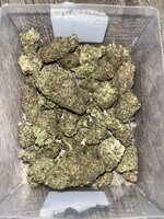 IMG_5032.jpeg