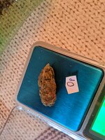 IMG_20200716_171034.jpg