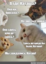 1000006210.jpg