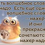 1000006138.jpg