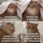 1000006219.png