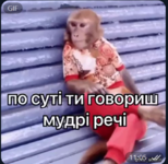 1728979588651.png