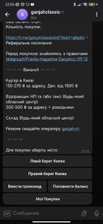 Screenshot_2024-10-28-22-55-54-161_org.telegram.messenger.jpg