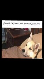 1000005830.jpg