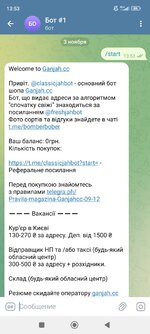 Screenshot_2024-11-03-13-53-40-861_org.telegram.messenger.jpg