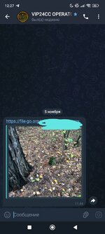 1000005867.jpg