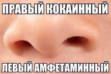 1733084839122.png