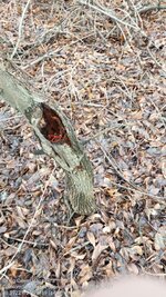 IMG_20250105_201933_975.jpg