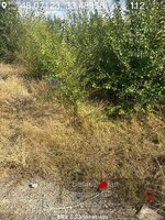 IMG_20250105_202035_166.jpg