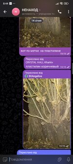 1000010049.jpg