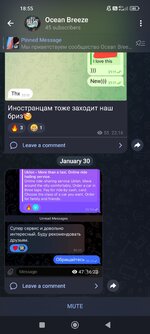 Screenshot_2025-01-31-18-55-18-798_org.telegram.messenger.jpg