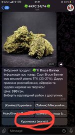 IMG_1204.jpeg