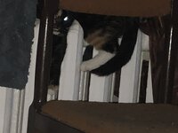 IMG_1220.jpeg