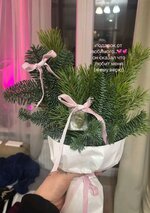IMG_20250214_221629.jpg