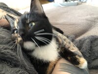 IMG_1305.jpeg