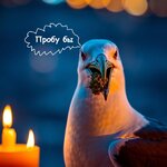 A high-resolution stock photo of a seagull with a marijuana cone in its beak, illuminated by w...jpg