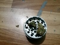 IMG_20201203_224336.jpg