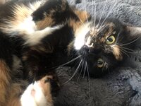 IMG_1365.jpeg