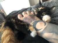 IMG_1368.jpeg