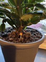 IMG_2892.jpeg