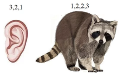 1661817880185495901.png