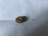 IMG_0019.jpeg