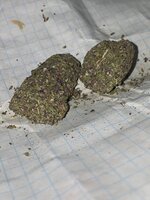 IMG_1623.jpeg