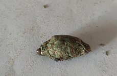 IMG_20250408_172633.jpg