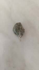 IMG_20250412_141046.jpg