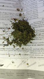 IMG_20250412_141218.jpg